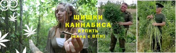 трава Богданович