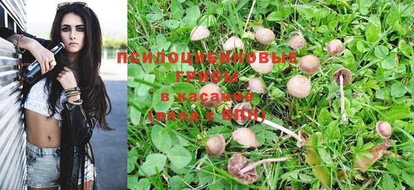 a pvp Богородск