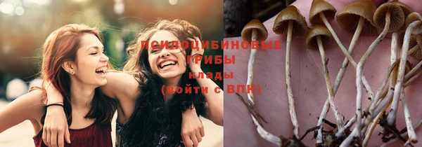 марихуана Богородицк